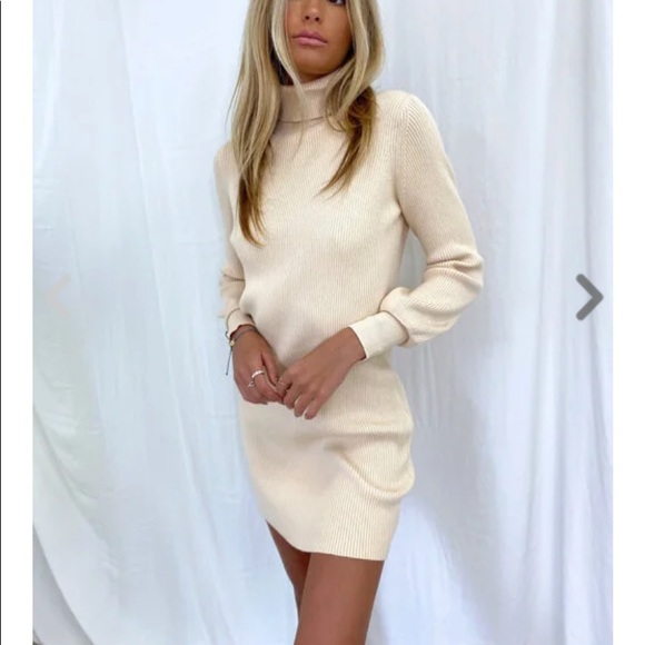 Isabelle’s Cabinet Dresses & Skirts - Isabelles Cabinet Turtleneck Sweater Dress